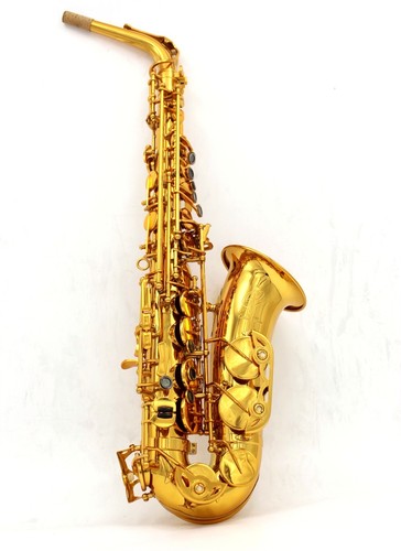 Sax alto professionale - sax,