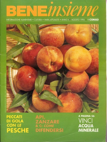 1994 bene insieme - bene, rivista