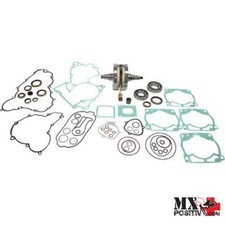 KIT REVISIONE MOTORE KTM 250