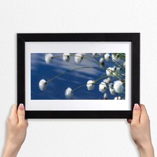 Arte da parete con cornice in