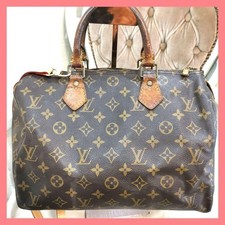 Borsa Louis Vuitton Speedy 30