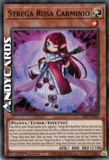 STREGA ROSA CARMINIO •