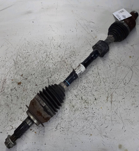 71768698 semialbero ant - semialbero,