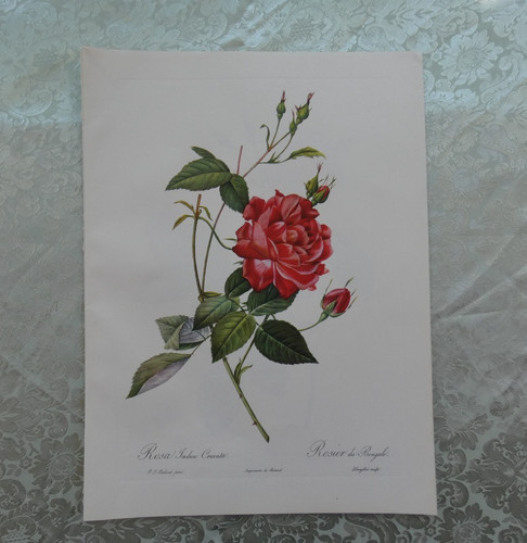 Stampe rose anni - stampe, grande