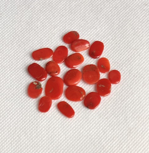 Cabochon corallo rosso italia - cabochon,