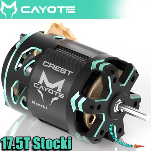 Cayote cyeb11012 crest - cayote, stocki