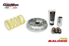 VARIATORE MALOSSI MULTIVAR