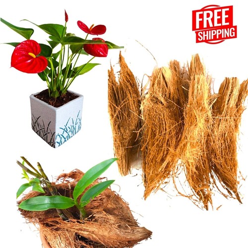 Fibra cocco husk terreno di - terreno,