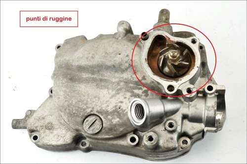 Honda chiocciola 150 - 00, 06