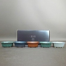 MIJU Mini vaso per bonsai set