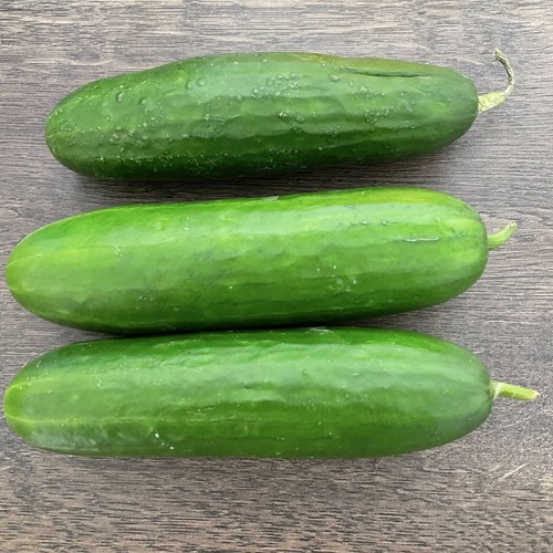 Cetriolo del pane cetriolo