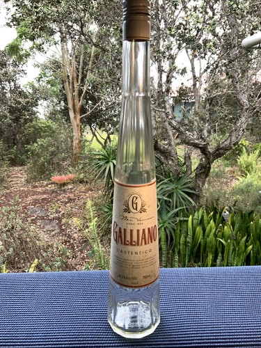 Vintage galliano autentico - vintage, l’autentico