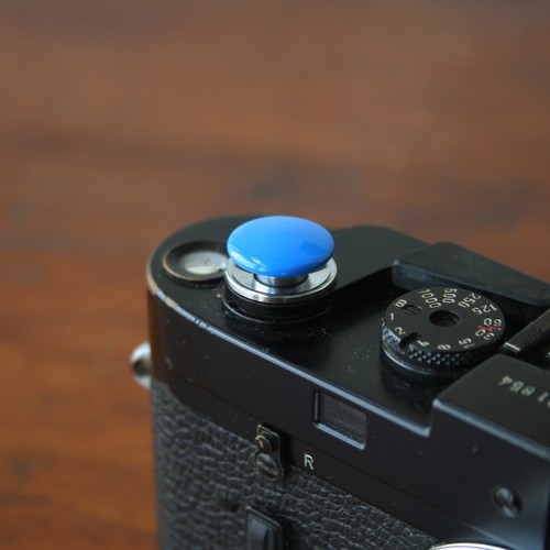 Pulsante blu standard - , grande