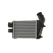 RIDEX 468I0032 Intercooler per