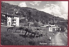 VALLE D'AOSTA MONTJOVET 03 UVA