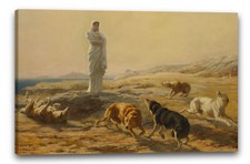 Tela/Cornice Britney Riviere -