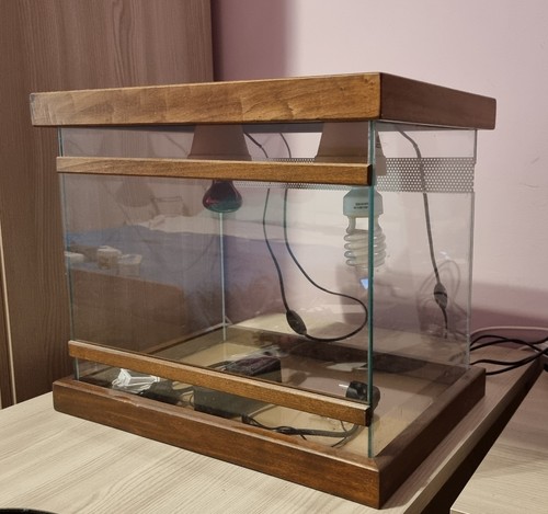 Terrario per piccoli rettili - terrario,