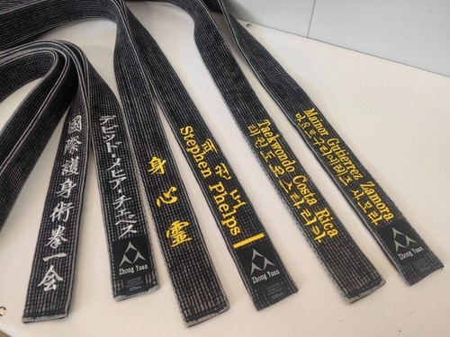 Cintura nera vintage karate
