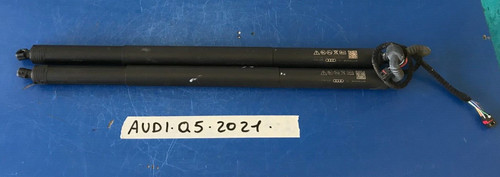Pistoni pistoncini sx - pistoncini, dx