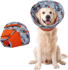 Collare Elisabettiano Cane