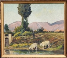 Pizzanelli Ferruccio (Pisa