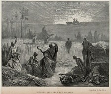 🟢 ANTICA STAMPA GUSTAVO