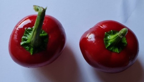 Semi peperoncino tondo - 20, di