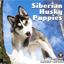 Select - Calendario da parete