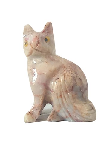 Minerali animali gatto