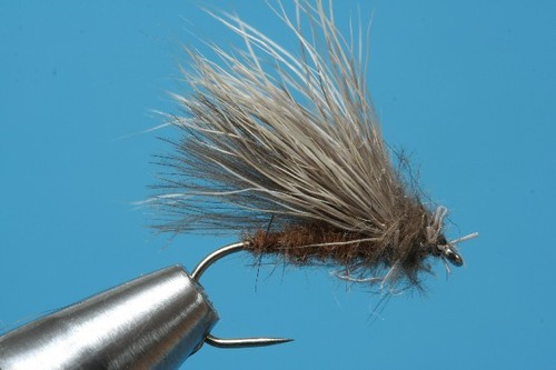 Fliegentom pezzi mosca secca - mosca,