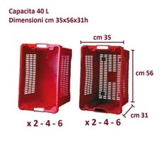 Cesta Cassetta Plastica Pvc