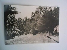 SERRA S. BRUNO NEL BOSCO CON LA NEVE AUTO ANIMATA VIBO VALENZIA