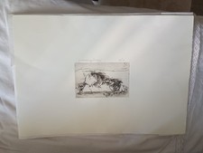 litografia firmata numerata in bianco e nero di Melograno di Enzo Faraoni