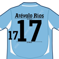 2010 Uruguay Home Name Set Arevalo Rios #17 Heat Transfer Patch Fan Made Cup Sty