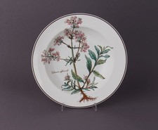 Piatto zuppiera Villeroy &