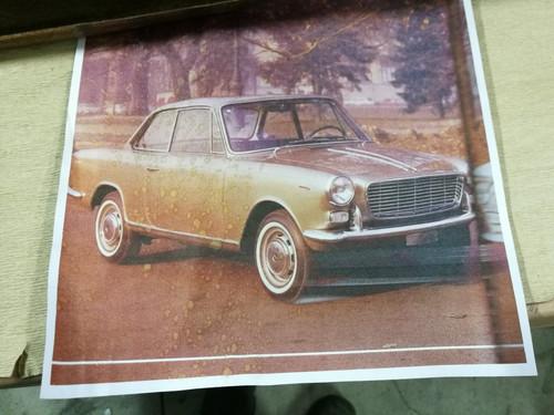 Mascherina fiat 1500 - mascherina, vignale