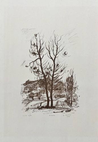 Guido botta - guido,