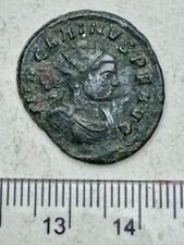 Roman AE Follis - Carinus