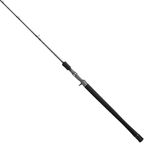 Tailwalk baitcasting rod - tailwalk,