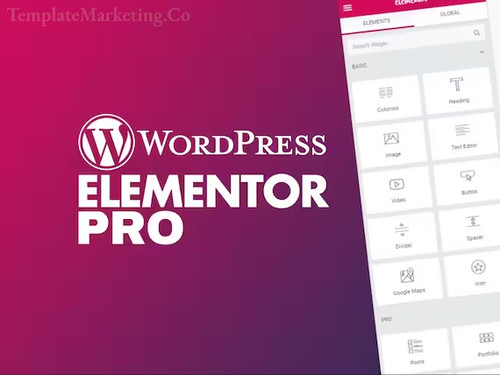 Elementor pro gpl - "elementor, pour