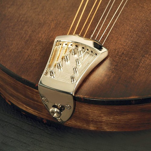 Coda mandolino corde - mandolino, 8