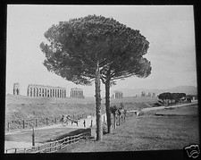 ROSCH Glass Magic lantern slide VIA APPIA NO1 ROME C1900 ITALY ROMANS ROMA