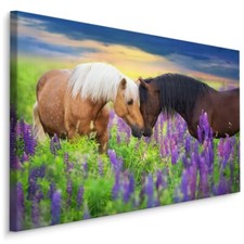 Quadri su tela CANVAS XXL