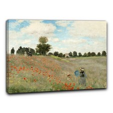 Niik Quadro i papaveri di