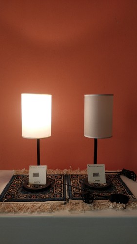 Coppia lampada noa cantori - lampada,