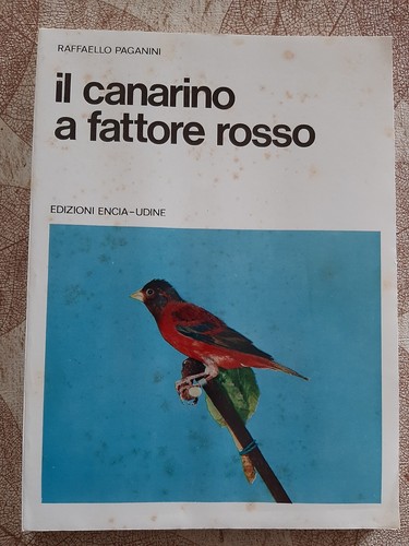 Canarino fattore rosso di - fattore,
