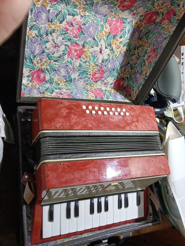 Fisarmonica organetto vintage - organetto,