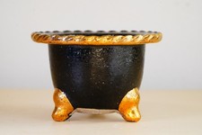 Bonsai Giapponese Orchidea