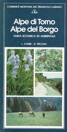 Alpe torno del - torno, borgo