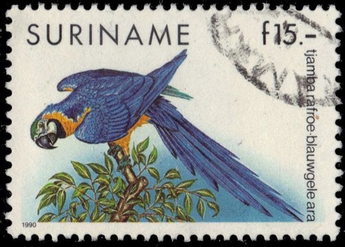Suriname 730 ara - 730,